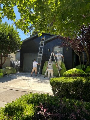 Ext-blk-house-ladders