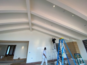 interior-living-rm-in-process